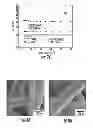 Fig. 09 - Surface Functionalization of Polyester