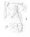 Fig. 09 - Apparatuses and Methods for Fabricating Elastomeric Laminates