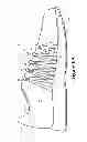 Fig. 09 - Method for molding tensile strand elements