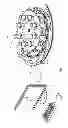 Fig. 02 - Universally adjustable star wheel