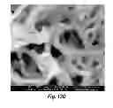 Fig. 10 - Thin layer chromatography plates and related methods of manufacture including priming prior to infiltration with stationary phase and/or precursor thereof