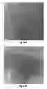 Fig. 11 - Thin layer chromatography plates and related methods of manufacture including priming prior to infiltration with stationary phase and/or precursor thereof