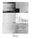 Fig. 09 - POROUS POLYMER MEMBRANES, METHODS OF MAKING, AND METHODS OF USE