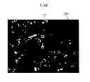 Fig. 03 - HIGH-PERFORMANCE VACUUM INSULATION PANEL AND MANUFACTURING METHOD THEREOF