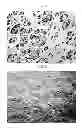 Fig. 03 - Heat-insulating packaging film, packaging bag, and packaging bag having opening member
