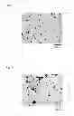 Fig. 02 - Resin composite material