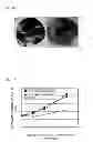 Fig. 07 - Resin composite material