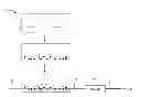 Fig. 01 - Composition of palladium unsaturated organoamine complex and palladium nanoparticles