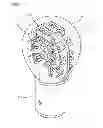 Fig. 08 - LED lamp assembly