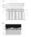 Fig. 04 - Ceramic electronic component including coating layer