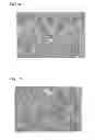 Fig. 09 - Ceramic electronic component including coating layer