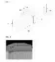 Fig. 12 - Ceramic electronic component including coating layer
