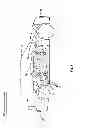 Fig. 02 - Crash Avoidance System