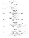 Fig. 08 - RSID proximity peripheral interconnection