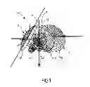 Fig. 02 - OPTICAL DEVICE FOR CAPTURING IMAGES ACCORDING TO A 360° FIELD