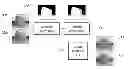 Fig. 01 - Embedding and decoding three-dimensional watermarks into stereoscopic images