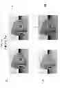 Fig. 02 - Embedding and decoding three-dimensional watermarks into stereoscopic images