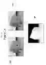 Fig. 03 - Embedding and decoding three-dimensional watermarks into stereoscopic images