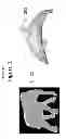 Fig. 04 - Embedding and decoding three-dimensional watermarks into stereoscopic images