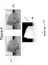 Fig. 06 - Embedding and decoding three-dimensional watermarks into stereoscopic images
