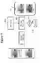 Fig. 10 - Embedding and decoding three-dimensional watermarks into stereoscopic images
