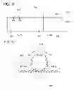 Fig. 09 - Liquid crystal display device having movable reflecting and transmitting screen