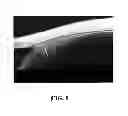 Fig. 09 - Detection and measurement of tissue images