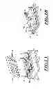 Fig. 02 - Multilayer electronics assembly and method for embedding electrical circuit components within a three dimensional module