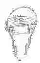 Fig. 02 - BULB-SHAPED LAMP AND LIGHTING DEVICE