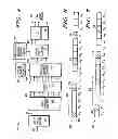 Fig. 04 - Pilot signal in an FDMA communication system