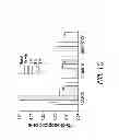Fig. 18 - Mobilization of hematopoietic stem cells