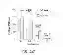 Fig. 24 - Mobilization of hematopoietic stem cells