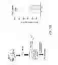 Fig. 33 - Mobilization of hematopoietic stem cells
