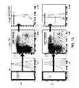 Fig. 38 - Mobilization of hematopoietic stem cells