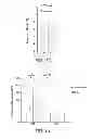 Fig. 39 - Mobilization of hematopoietic stem cells