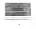 Fig. 04 - METHOD FOR DETECTING NUCLEIC ACIDS BASED ON AGGREGATE FORMATION