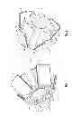 Fig. 02 - Methods, devices and apparatus for performing a vascular anastomosis