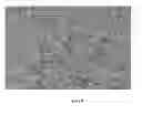 Fig. 08 - Synthesis, capping and dispersion of nanocrystals