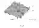 Fig. 14 - Synthesis, capping and dispersion of nanocrystals