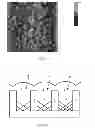 Fig. 06 - Semiconductor device and method for forming the same