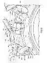 Fig. 06 - FORCE DISTRIBUTING APPARATUS FOR A BICYCLE WHEEL SPOKE