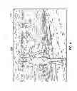 Fig. 04 - Preview cursor for image editing