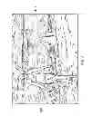 Fig. 05 - Preview cursor for image editing