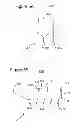 Fig. 06 - Catenary source steering gear and method
