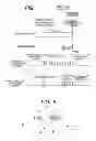 Fig. 07 - Image forming apparatus