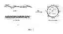 Fig. 02 - Carrier nanoparticles and related compositions, methods and systems