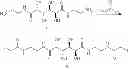 Fig. 25 - Carrier nanoparticles and related compositions, methods and systems