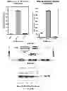 Fig. 03 - Methods of using AMPD2 inhibitors for the treatment of fatty liver, obesity and diabetes