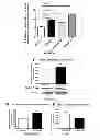 Fig. 10 - Methods of using AMPD2 inhibitors for the treatment of fatty liver, obesity and diabetes