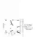 Fig. 05 - METHOD FOR ENHANCING BUTYRATE PRODUCTION BY CLOSTRIDIUM TYROBUTYRICUM